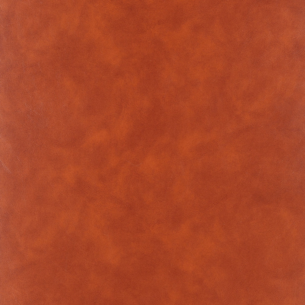 110121-7