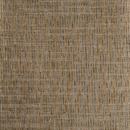 111208-7