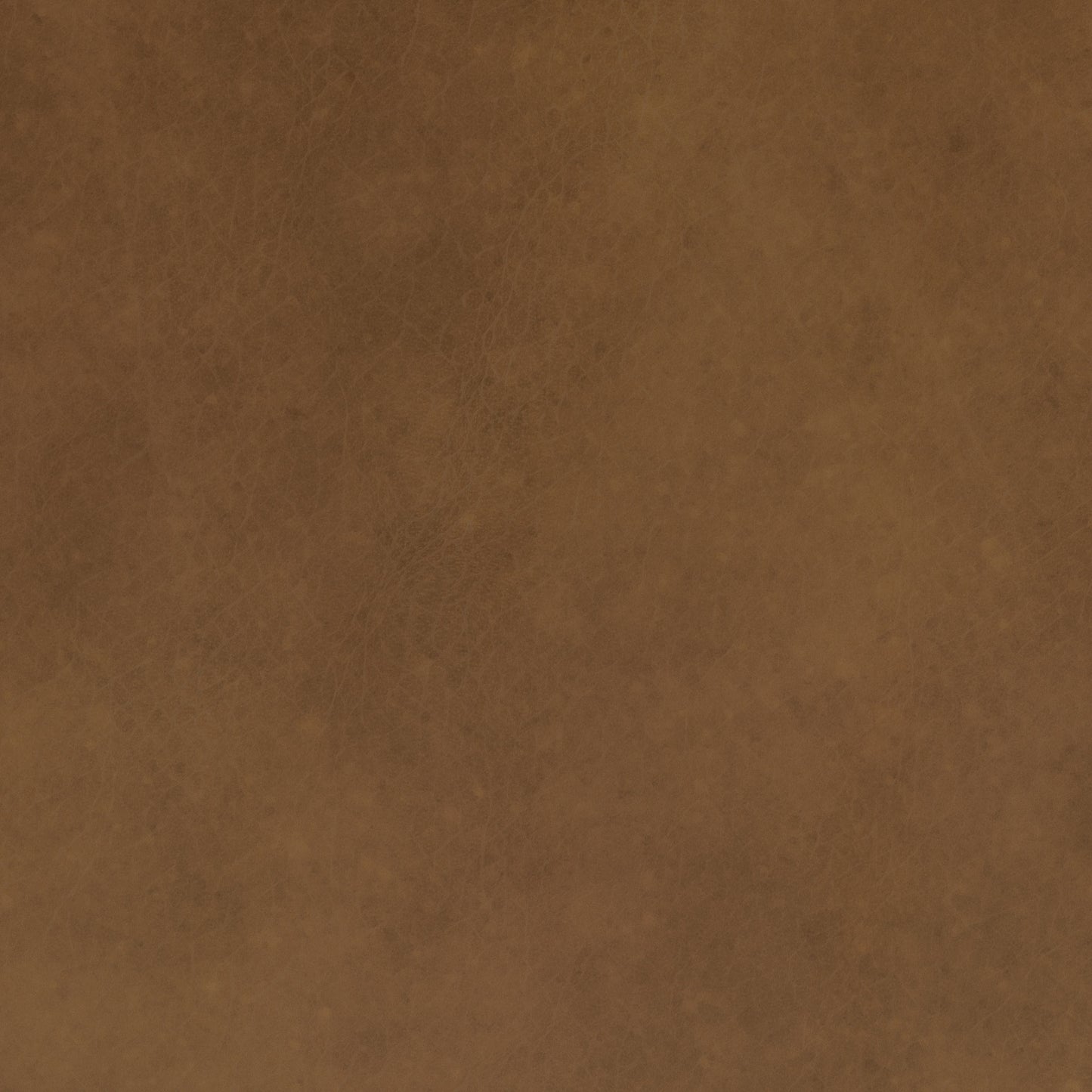 110911-8