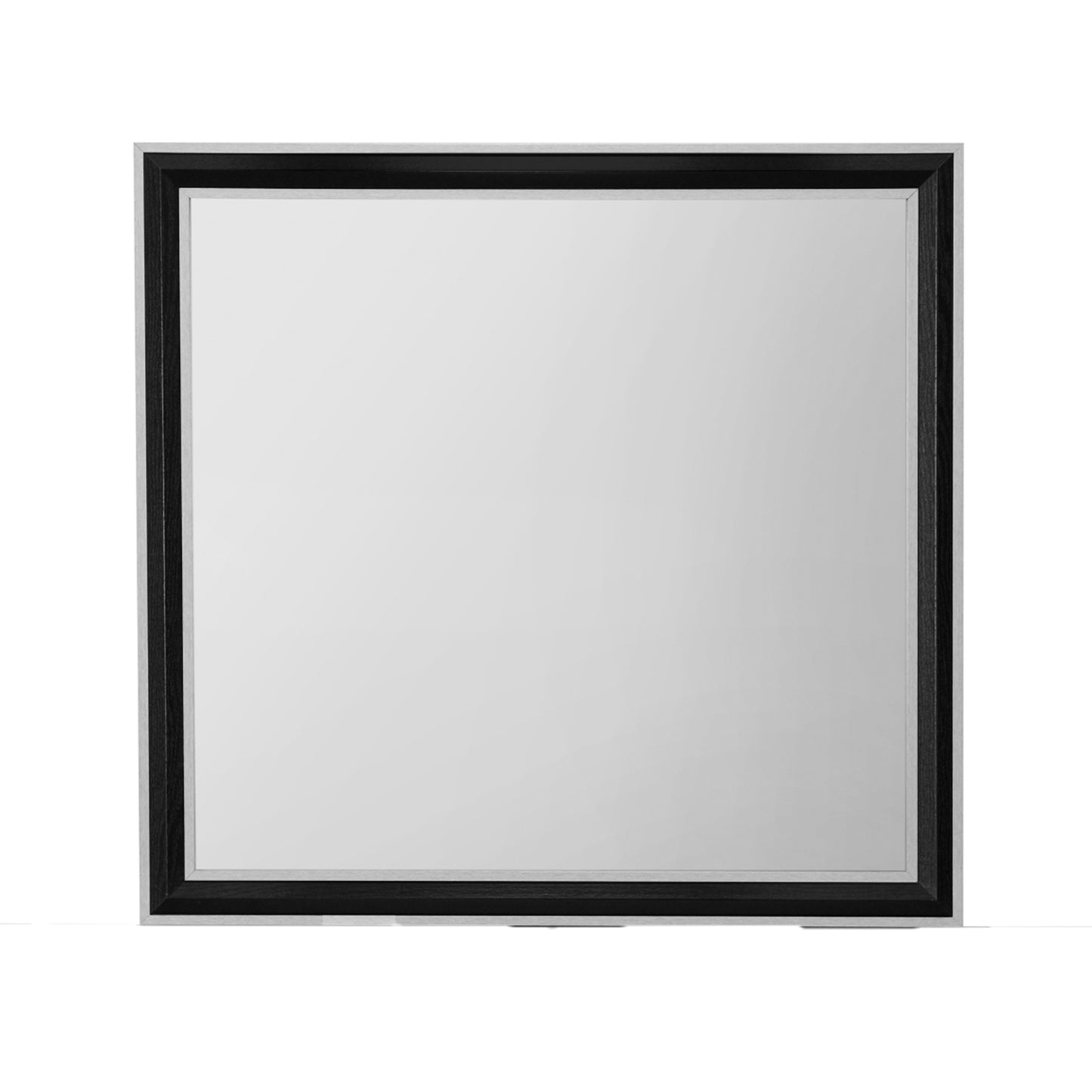 Amelia-MR 1