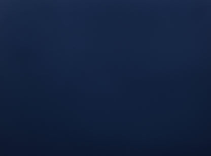 Charlie Blue Panel