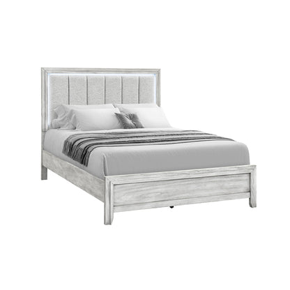 ELSIE-GREY-QB-2