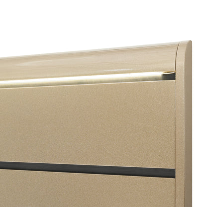 GENESIS-GOLD-DETAIL - 1