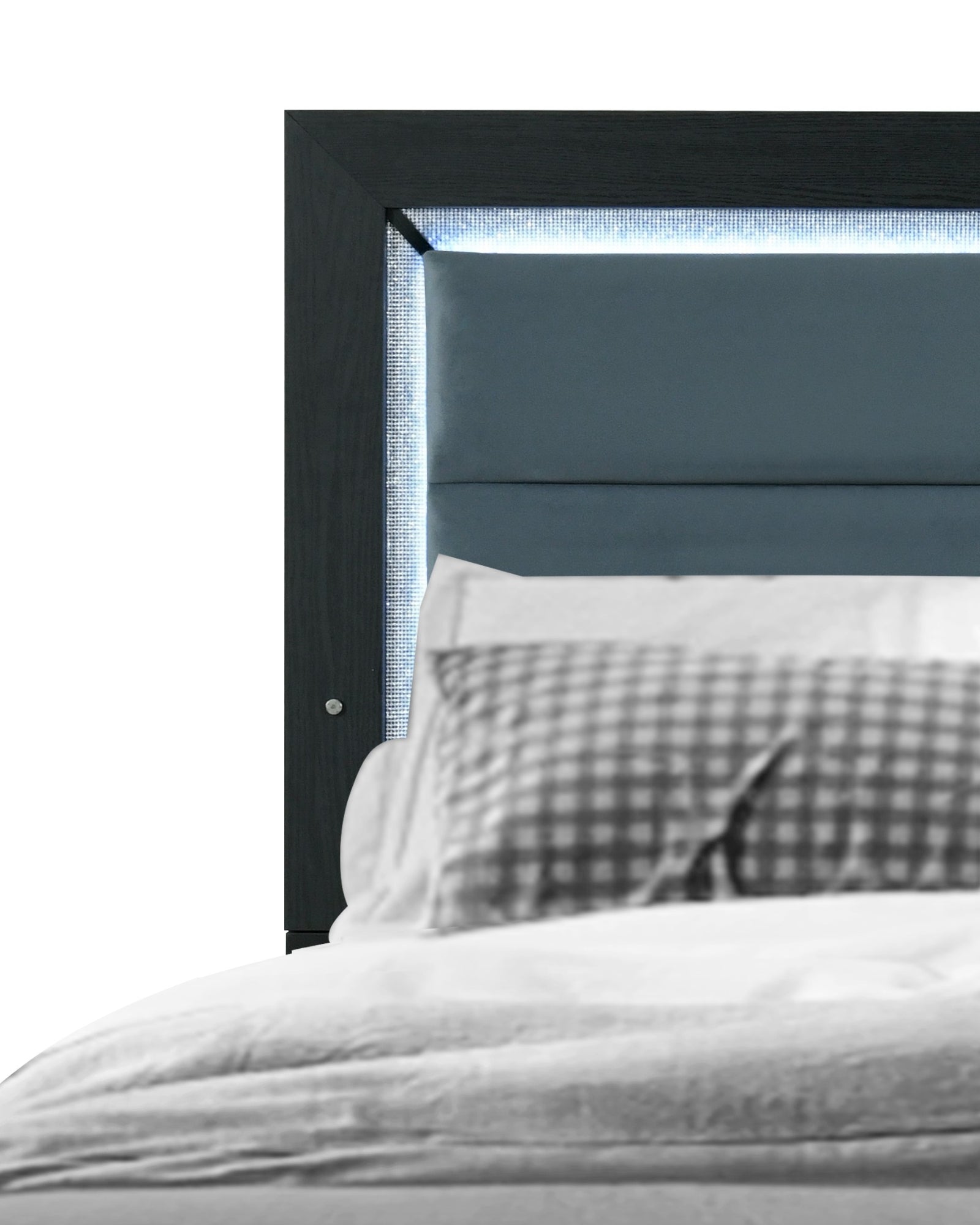 Reid Detailed HB shot